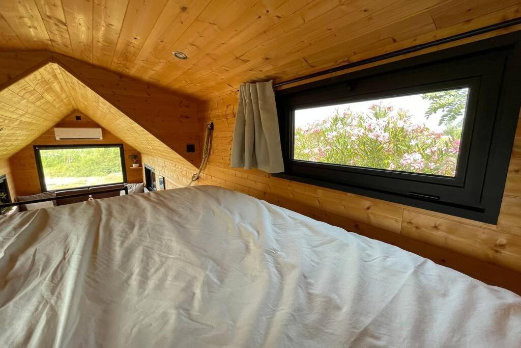 Myinsolite - Tiny-House, Jacuzzi, Brasero, Piscine Aigues-Mortes Exterior foto