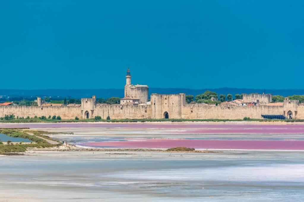 Myinsolite - Tiny-House, Jacuzzi, Brasero, Piscine Aigues-Mortes Exterior foto