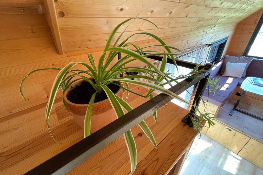 Myinsolite - Tiny-House, Jacuzzi, Brasero, Piscine Aigues-Mortes Exterior foto