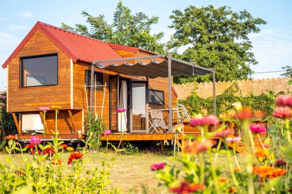 Myinsolite - Tiny-House, Jacuzzi, Brasero, Piscine Aigues-Mortes Exterior foto